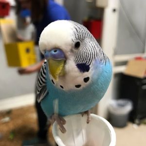 Meet your Posher, Elizabeth